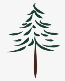 Tall Pine Tree Extended, HD Png Download, Free Download