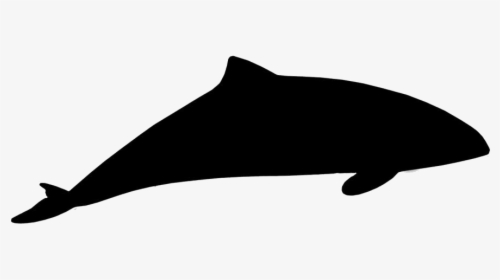 Blue Whale Png Transparent Images - Whale, Png Download, Free Download