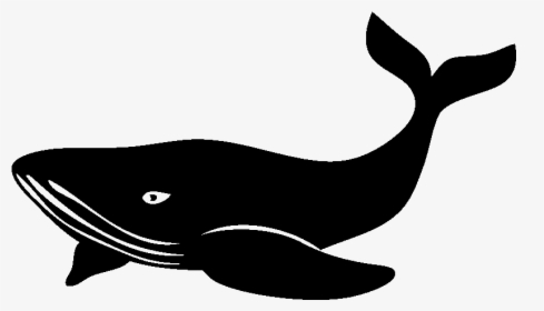 Sticker Baleine Majestueuse Ambiance Sticker Kc7648 - Killer Whale, HD Png Download, Free Download