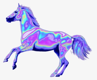 Png, Unicorn, And Png Tumblr Image - White Horse Transparent Background, Png Download, Free Download