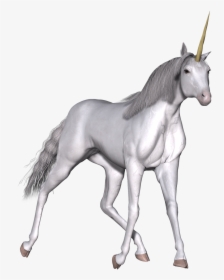 Full White Unicorn Walking - Unicorn Gazelle, HD Png Download, Free Download