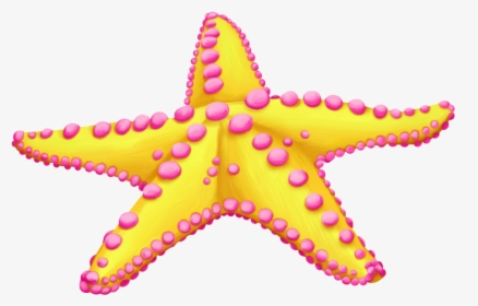 Starfish Clip Art Sea Image - Colorful Starfish Clip Art, HD Png Download, Free Download