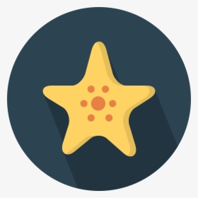 Starfish Png 17, Buy Clip Art - Camera Icon, Transparent Png, Free Download