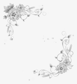 Vector Photograph White Border - 花 の イラスト フリー 素材, HD Png Download, Free Download