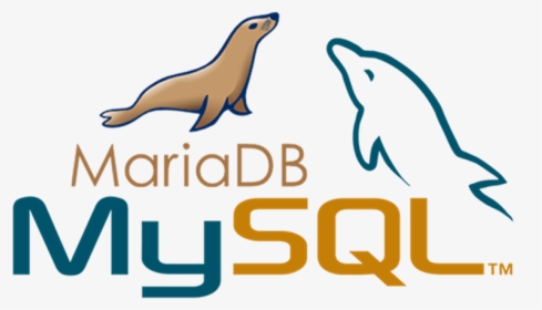 Mysql Mariadb, HD Png Download, Free Download