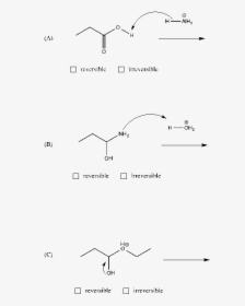 Diagram, HD Png Download, Free Download