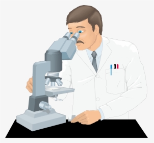 Transparent Microscope Vector Png - Microscope Translucent, Png Download, Free Download