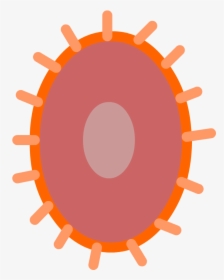Escherichia Coli Bacteria Png Clipart Science, Transparent Png, Free Download