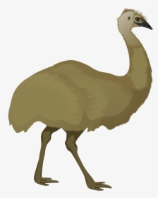 Cartoon Emu Png Pluspng - Emu Clipart, Transparent Png, Free Download