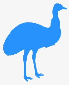 Black Emu, HD Png Download, Free Download