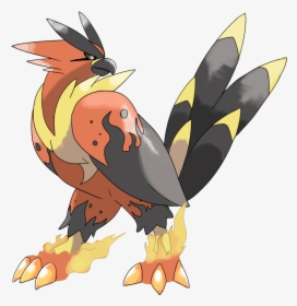One Piece Role-play Wiki - Pokemon Talonflame Mega Evolution, HD Png Download, Free Download