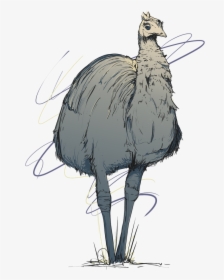 Emu, HD Png Download, Free Download