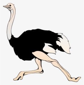 Ostrich Clipart, HD Png Download, Free Download