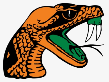 Florida A&m University, HD Png Download, Free Download