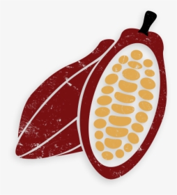 Transparent Cocoa Bean Png - Cacao Png, Png Download, Free Download