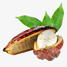 Happy Co Pulpa De Cacao Ecuador - Buttercream, HD Png Download, Free Download
