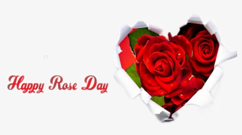 Happy Rose Day Png Image - Happy Wedding Anniversary Brother And Sister In Law, Transparent Png, Free Download
