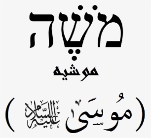Moses Name - Moses In Hebrew Writing, HD Png Download, Free Download