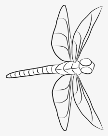 Jpg Free Download Line Dragonfly At Getdrawings Com - Dragonfly Line Art, HD Png Download, Free Download