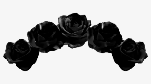 Black Flower Png Images Free Transparent Black Flower Download Kindpng