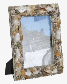 Frame Natural Shells Glass, HD Png Download, Free Download