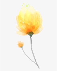Transparent Yellow Watercolor Png - Illustration, Png Download, Free Download