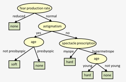 Decision Tree Pruning, HD Png Download, Free Download