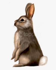 Free Png Painted Brown Bunny Png Images Transparent - Brown Bunny Clipart, Png Download, Free Download