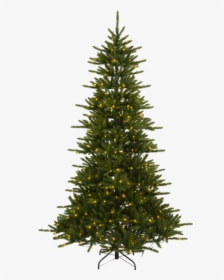 Christmas Tree W Led Minnesota - Nordmann Fir Christmas Tree Uk, HD Png Download, Free Download
