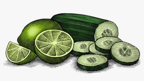 Cucumber Lime Final Art Layer - Circle, HD Png Download, Free Download