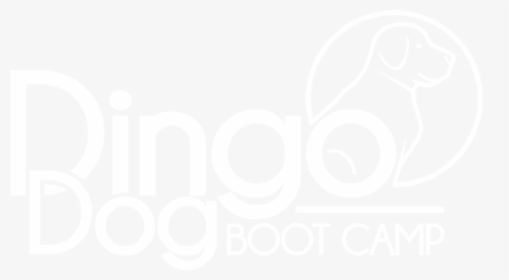 Dingo Dog Boot Camp - Graphic Design, HD Png Download, Free Download