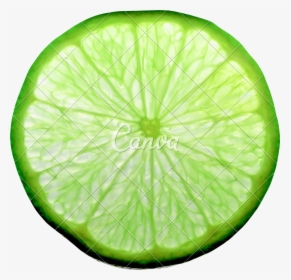 Lime Green Backgrounds - Transparent Lime Slice Png, Png Download, Free Download