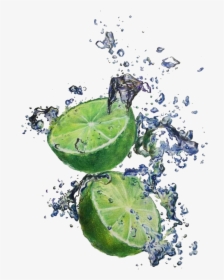 Clip Art Lime Illustration - Watercolor Painting, HD Png Download, Free Download
