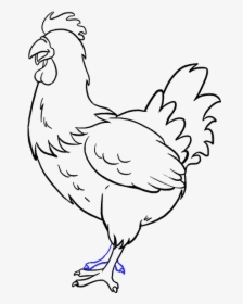 How To Draw Chicken - Chicken Head Drawing Easy, HD Png Download, Free Download