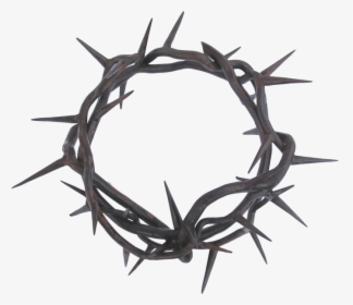 Crown Of Thorns Picture - Crown Of Thorns Vector Png, Transparent Png, Free Download