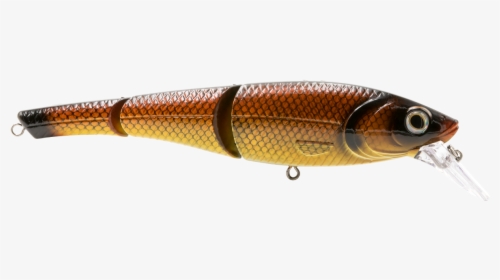 Transparent Fish Head Png - Amber, Png Download, Free Download