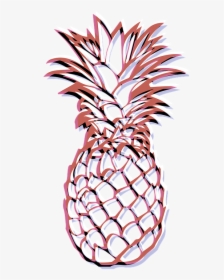 White, Pineapples, Fruits, Yellow, Green, 3d, Colors - Outline Picture Of Pineapple, HD Png Download, Free Download