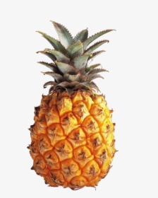Transparent Google Search On - Pineapple Transparent, HD Png Download, Free Download