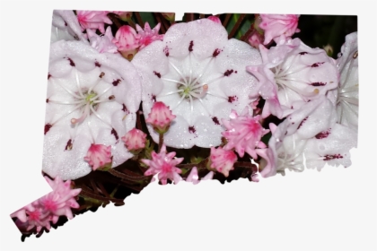Connecticut - Artificial Flower, HD Png Download, Free Download