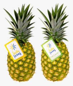 Stella Farms - Pineapple, HD Png Download, Free Download