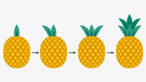 Pineapple Illustrator, HD Png Download, Free Download