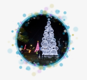 Bauble Bauble Christmas Tree In Bournemouth Lower Gardens - Christmas Tree Wonderland, HD Png Download, Free Download