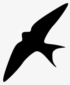 Photography - Swallow Silhouette Png, Transparent Png, Free Download