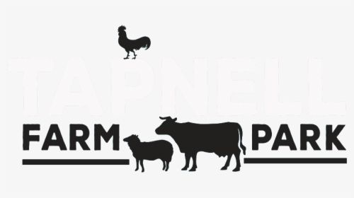 Homepage - Tapnell Farm Park, HD Png Download, Free Download