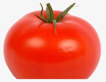 Transparent Tomato Plant Png - Transparent Background Tomato Transparent, Png Download, Free Download