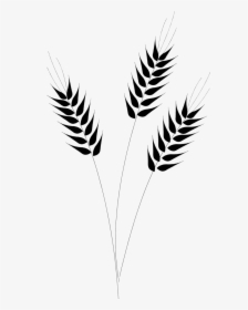 Wheat Captain Clipart Ship Wheel Clip Art Transparent - Wheat Clipart Black And White, HD Png Download, Free Download