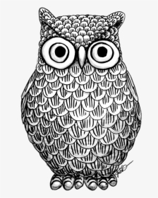 Owl Mandala Png - Owl Drawing Png, Transparent Png, Free Download