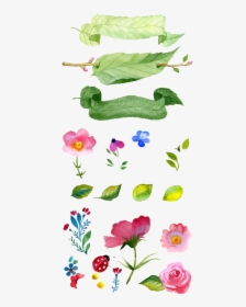 Flower Illustration Watercolor Flowers Painting Hand-painted - Watercolor Painting, HD Png Download, Free Download