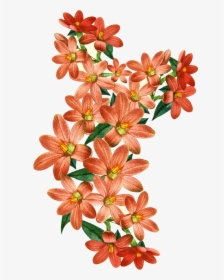 Vector,flower,vector Art,flower Vector,vector Flower - Alstroemeriaceae, HD Png Download, Free Download