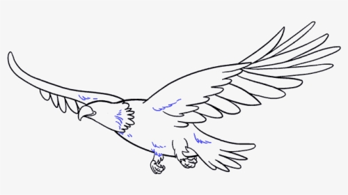 289 2897965 how to draw eagle draw a flying eagle